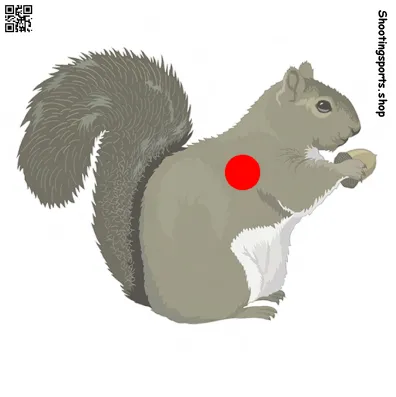 [SSSTGT0020b] Squirrel Target - Paper 14cm x 14cm